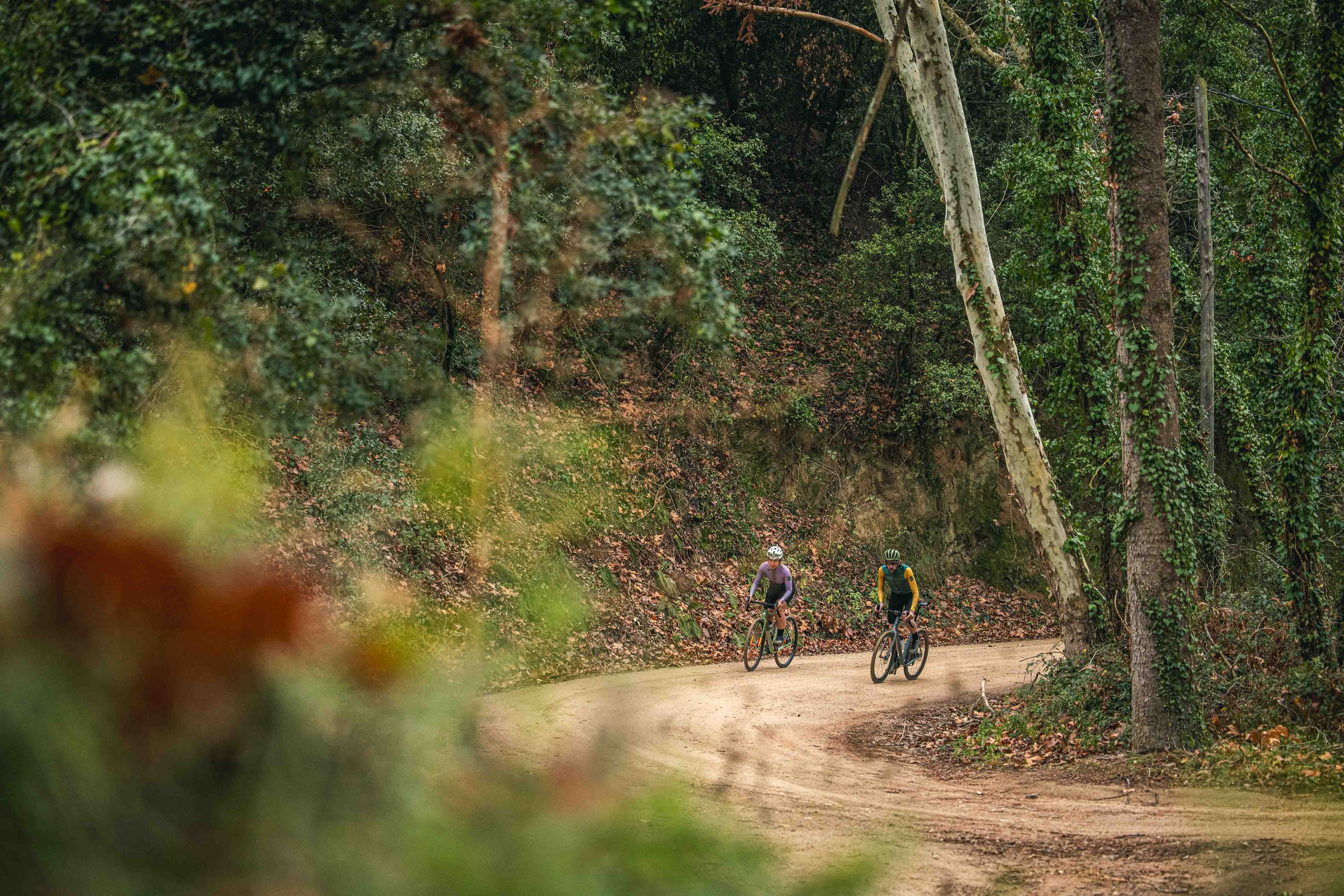 two cyclists riding on a forest road